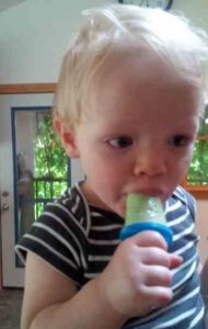 3 Easy and Delicious Herbal Popsicle Recipes Image